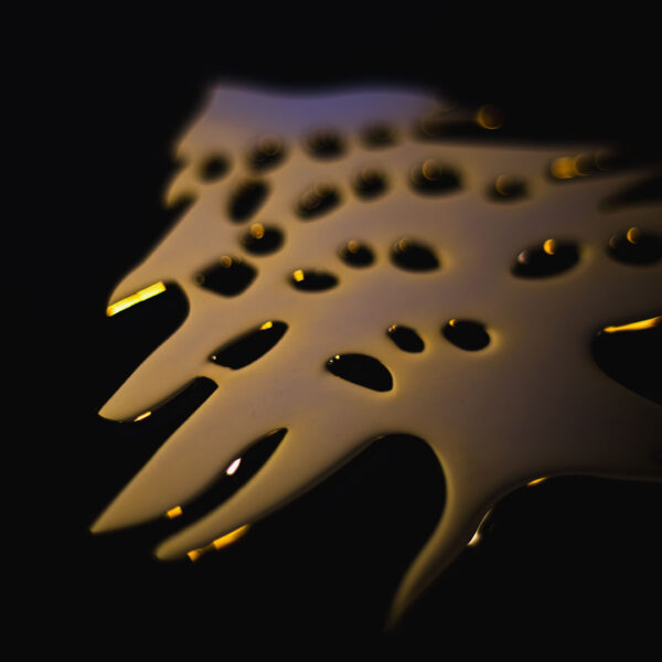 Gold Cedar Closeup